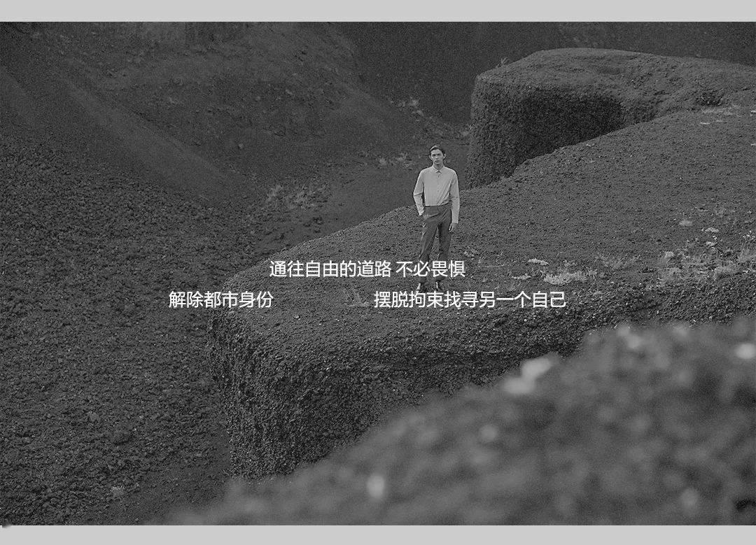 小猫钓鱼游戏龙王版有船