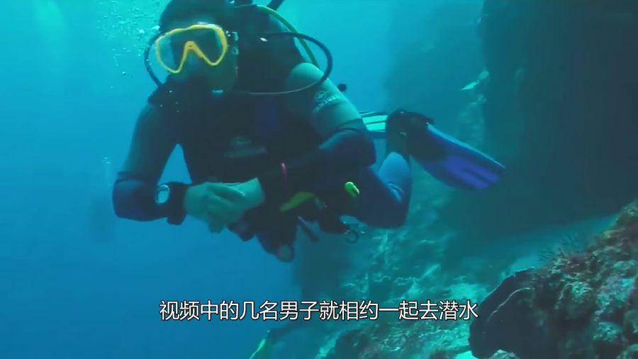 汽车抛光打蜡得多少钱？伤漆吗？