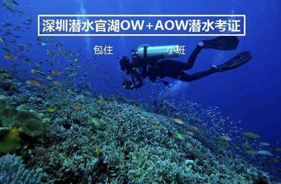 2/1+5/4-2/1+5/4简便计算？