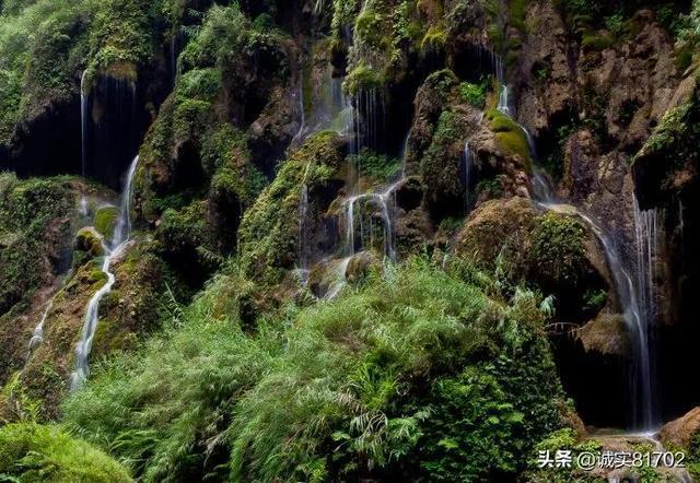 旋转轮胎