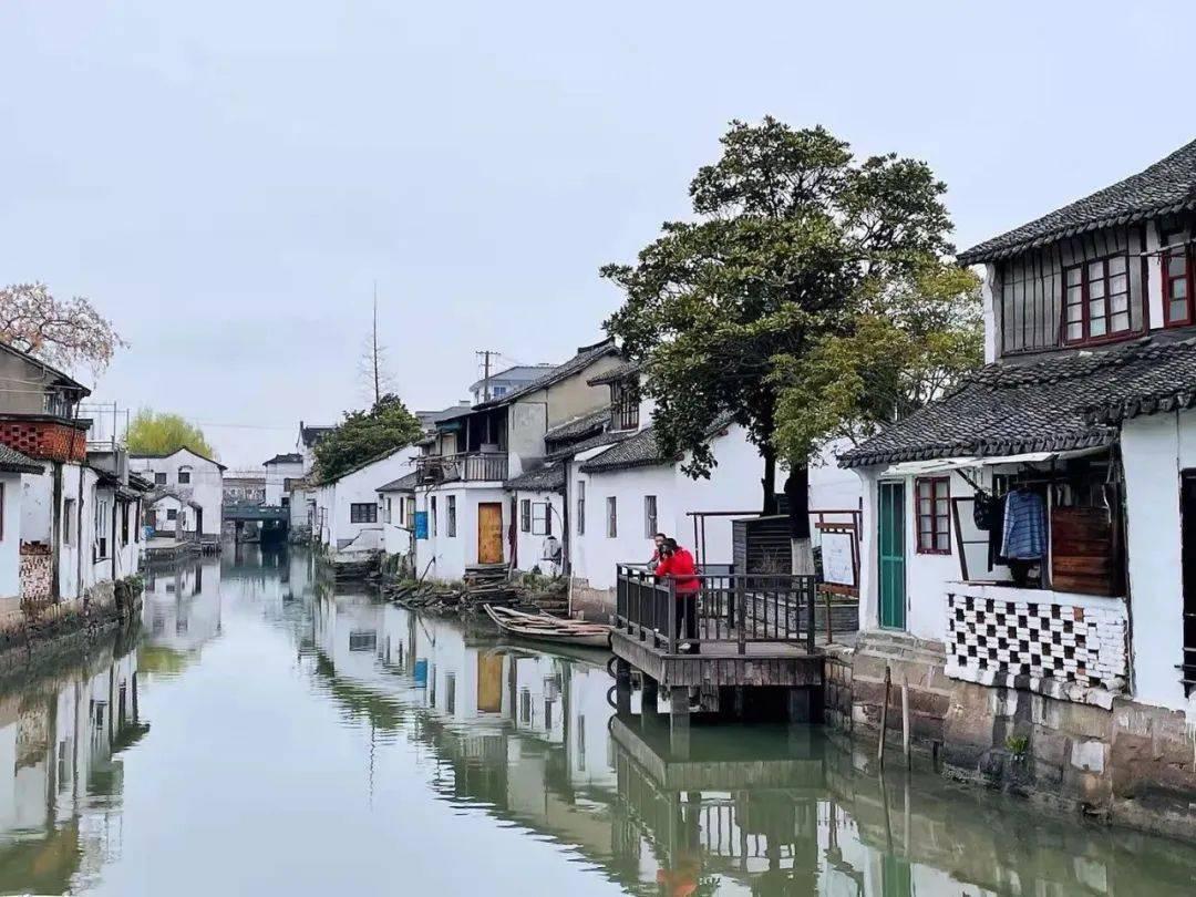 主题教育丨福鼎市行管委：构建政务服务市乡村一体化新格局