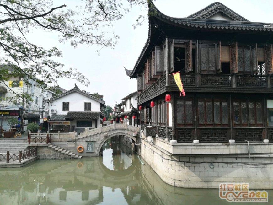 老人在城百无聊赖回村秒变社交达人